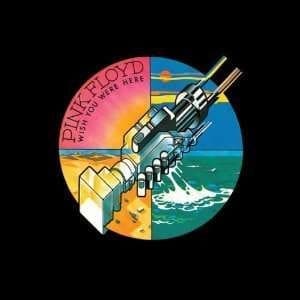 Pink Floyd - Wish You Were Here (180g Vinyl) (Mint) -